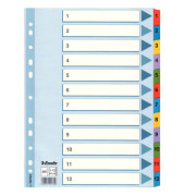 Kartonregister 100162 1-12 A4 160g farbige Taben 12-teilig