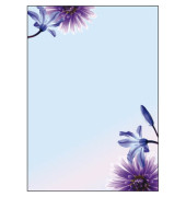 Motivpapier DP903 A4 90g Blue Emotion