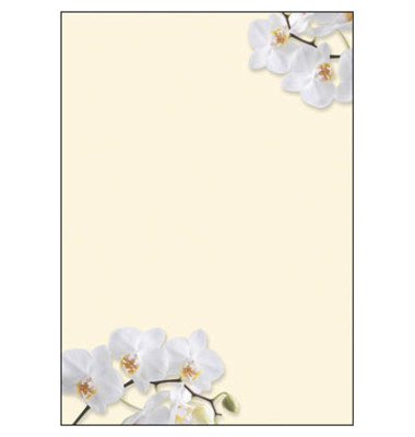 Motivpapier DP904 A4 90g White Orchid