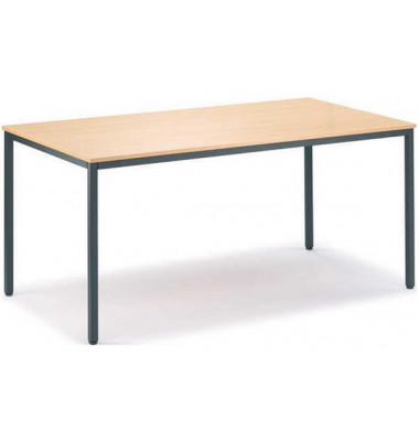 Besprechungstisch Deskin-Line 217259, 72cm (H), 200x80cm (BxT), 8 Personen, rechteckig, buche / anthrazit