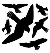 5999 Warnvögel Etiketten schwarz 30 x 30 cm 
