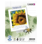 Collegeblock 100050114 Recycling, Sonnenblume, Lineatur 28 / kariert mit Rand innen/außen, A5, 70g, grün, 80 Blatt