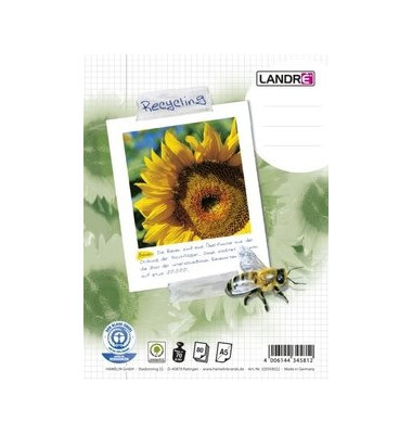 Collegeblock 100050114 Recycling, Sonnenblume, Lineatur 28 / kariert mit Rand innen/außen, A5, 70g, grün, 80 Blatt