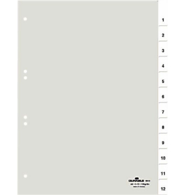 Kunststoffregister 6819-19 1-31 A4 0,12mm weiße Fenstertaben zum wechseln 31-teilig