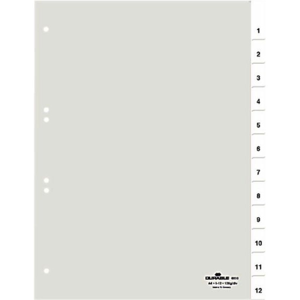 4005546630069 - Kunststoffregister 6819-19 1-31 A4 012mm weiße Fenstertaben zum wechseln 31-teilig 4005546630069 Durable