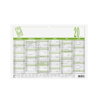 Plakatkalender 907-0700, NATURA, 6 Monate / 1 Seite, 29,7x21cm (A4 quer), 2025