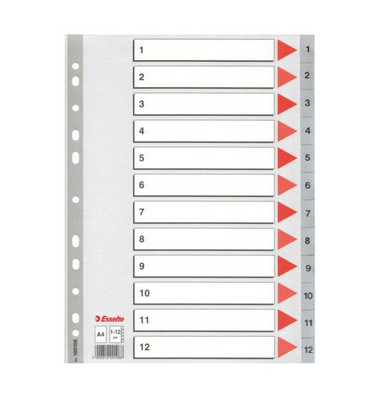 Kunststoffregister 100106 1-12 A4 0,12mm graue Taben 10-teilig