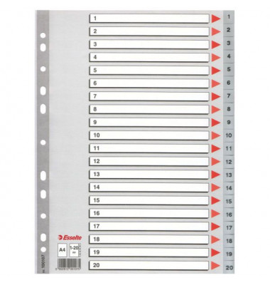 Kunststoffregister 100107 1-20 A4 0,12mm graue Taben 10-teilig