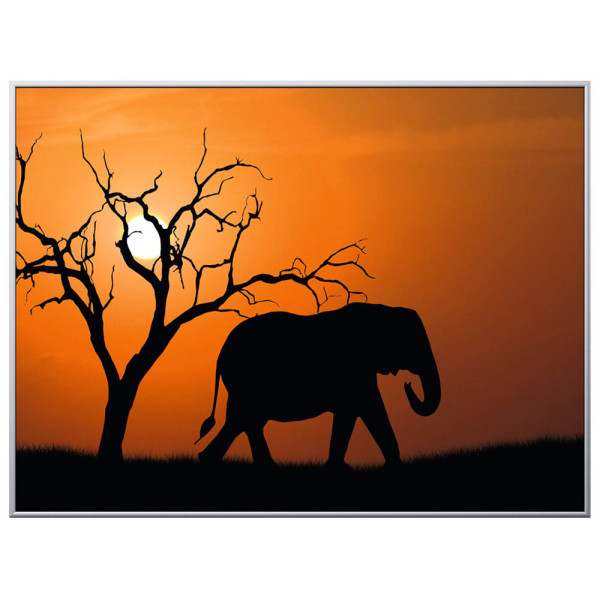 3660141890846 - Wandbild Elefant 1CCF60X803507C