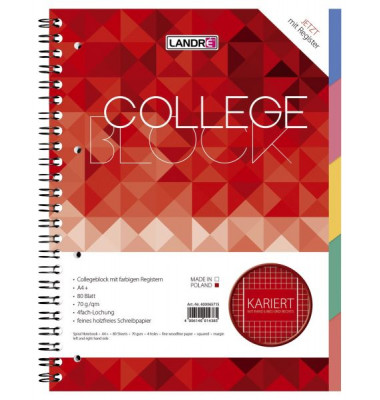 Collegeblock 400065715, Schule, Lineatur 28 / kariert mit Rand innen/außen, A4+, 70g, sortiert, 80 Blatt