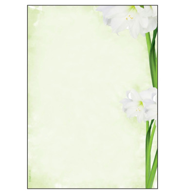 sigel Motivpapier Green Flower A4 90 g/qm