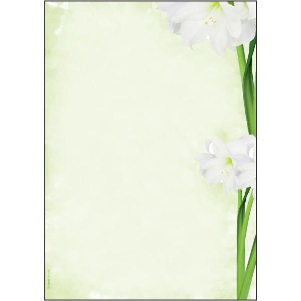 4004360814105 - SIGEL Motivpapier Green Flower Motiv DIN A4 90 g qm 25 Blatt