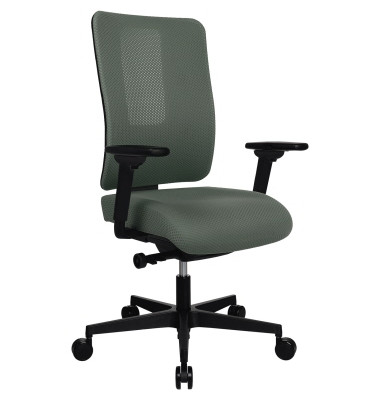 Drehstuhl Sitness Life 50 grau grün FY500TW2CR22 mit Armlehnen