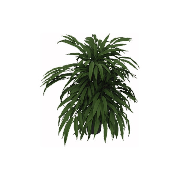 4003969062047 - Kunstpflanze Ficus 360Blatt Höhe 800mm Kunststofftopf 4003969062047 Soennecken