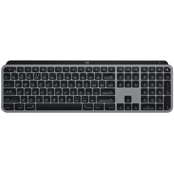 5099206090385 - MX Keys Advanced Wireless Illuminated Keyboard Graphite for MAC - DE - Tastaturen - Deutsch - Grau