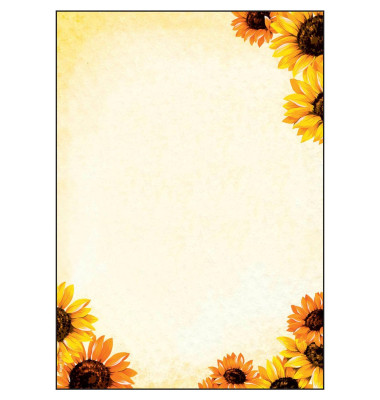 Motivpapier Field of Sun Motiv DIN A4 90 g/qm