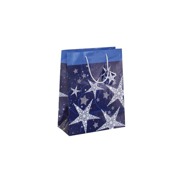 4004360845079 - Geschenktasche GT 025 Shining Star Weihnachten Shining Star mit Geschenkanhänger Shining Stars 26cm x 33cm 4004360845079 Si 5 Stück