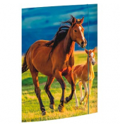 Zeichenmappe Free Horses 45353, A3, Karton 350g