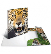 Sammelmappen DIN A4 Leoparden