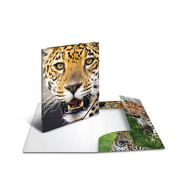 Sammelmappen DIN A4 Leoparden