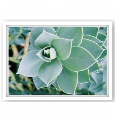 92 0623 Bilderrahmen Your Gallery Succulent 13x18cm  Kunststoff