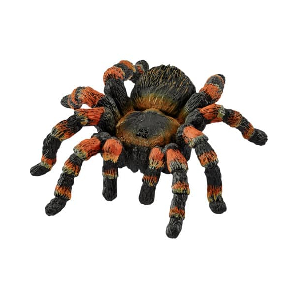 4059433025360 - Wild Life 14829 Vogelspinne Spielfigur 4059433025360 Schleich