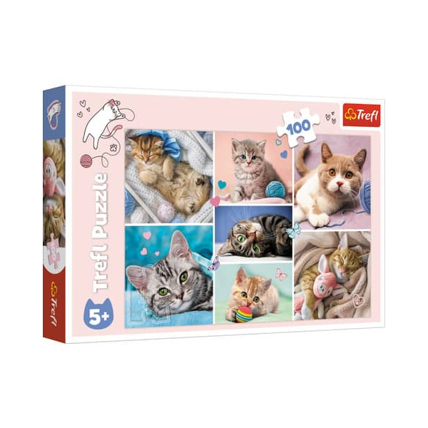 5900511164206 - Puzzle 100 - Katzenwelt (Kinderpuzzle)