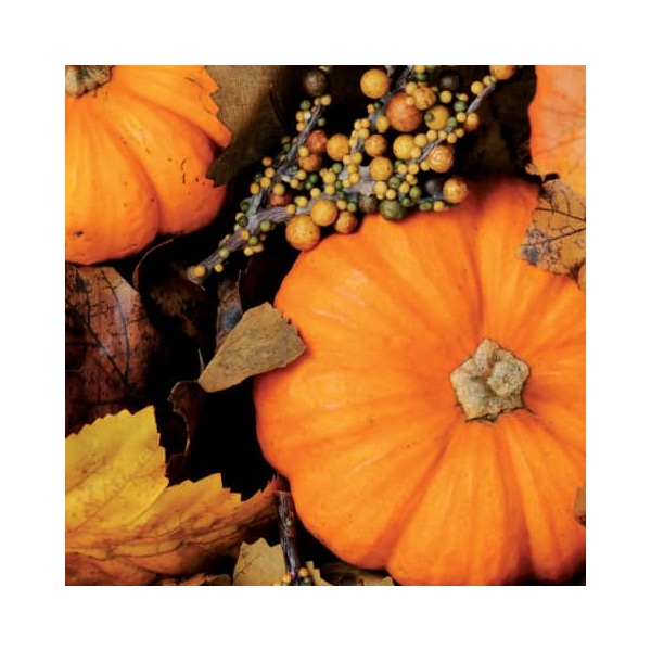 7321011936120 - Herbst Lunchservietten - 33 x 33 cm 7321011936120 PAPER+DESIGN 20 Stück