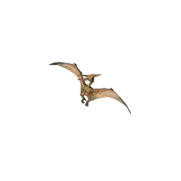 3465000550066 - 55006 Dinosaurier Pteranodon Spielfigur 3465000550066 papo