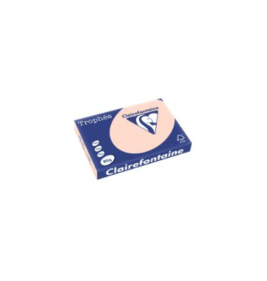 Kopierpapier Trophee 1892C lachs pastell A3 80g 