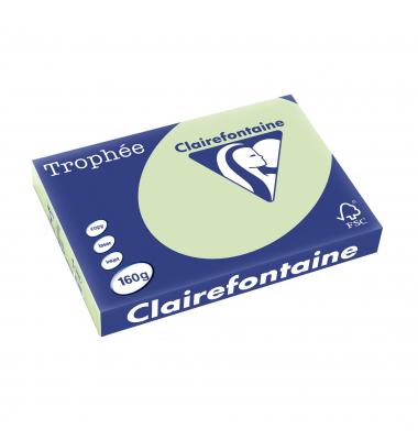 Kopierpapier Trophee 1114C grün pastell A3 160g 