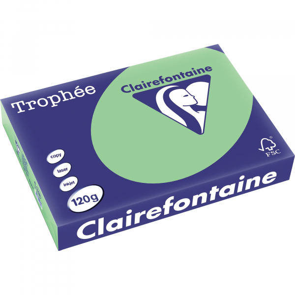 3329680122800 - Kopierpapier Trophee 1228C naturgrün pastell A4 120g  3329680122800 250 Blatt