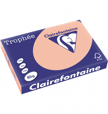 Kopierpapier Trophee 1260C pfirsich pastell A3 80g 