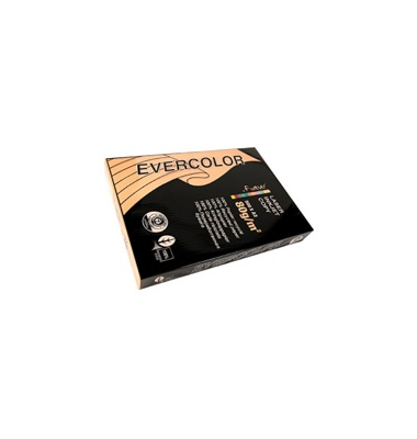 Recyclingpapier evercolor 30015C lachs A3 80g 