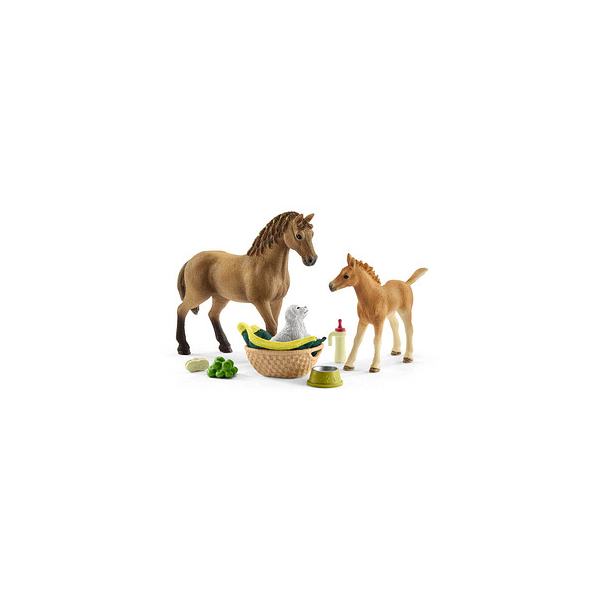 4059433572772 - Horse Club 42432 Sarahs Tierbaby-Pflege Spielfiguren-Set 4059