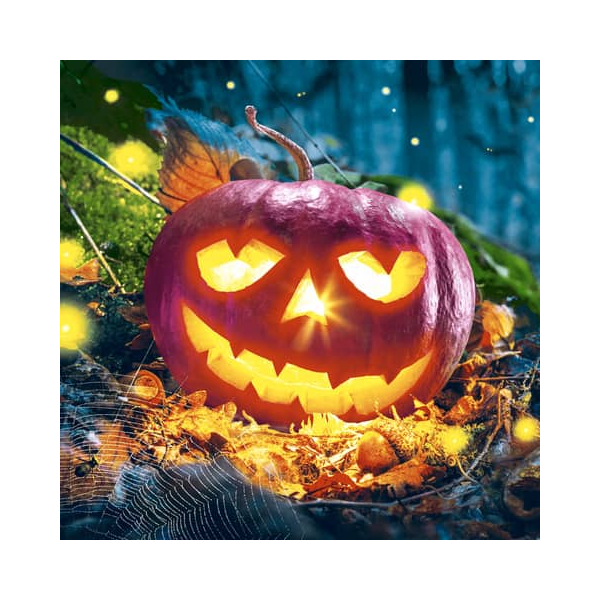 7321012032586 - 203258 Motivserviette 33x33cm Halloween 7321012032586 PAPER+DESIGN