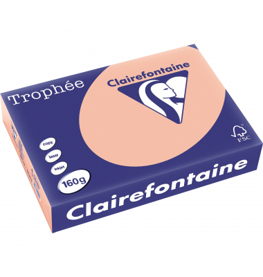 Kopierpapier Trophee 1049C pfirsich pastell A4 160g 