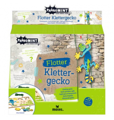 Klettergecko PhänoMINT