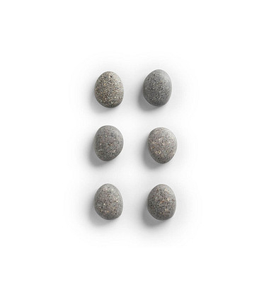 6 Zeller Stone Magnete grau 2,1 x 1,8 x 1,0 cm