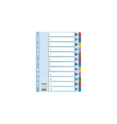 Register Esselte 100162, 1-12, A4, aus Karton, Mylar, weiß