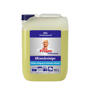 Allzweckreiniger Lemon Kanister