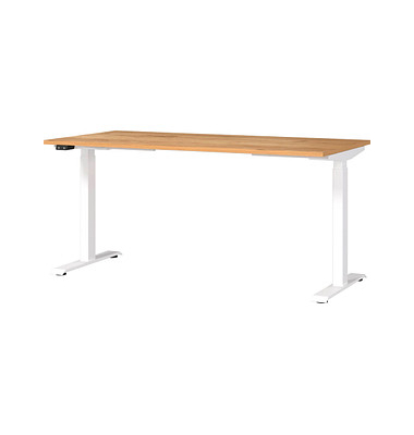 Sitz-Steh-Schreibtisch JET 7908-242, elektrisch höhenverstellbar 72-120cm (H), 160x80cm (BxT), rechteckig, navarra-eiche / Weiß