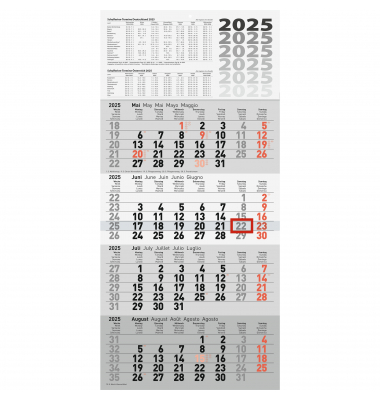 Viermonatskalender 7033420005, 4 Monate / 1 Seite, 30x62,5cm, 2025