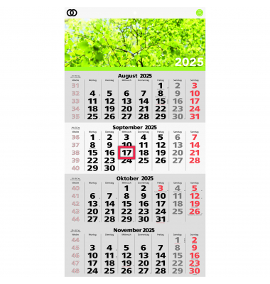 Viermonatskalender 5103-25, oeco, 4 Monate / 1 Seite, 33x58,8cm, 2025