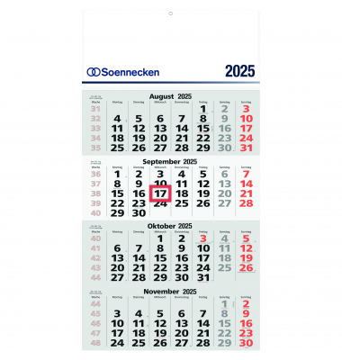 Viermonatskalender 5097-25, 4 Monate / 1 Seite, 30x60cm, 2025