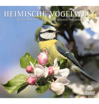 Bildkalender 205149, Heimische Vogelwelt, 1 Monat / 1 Seite, 33x33cm, 2025