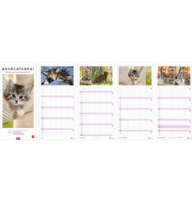 Familienkalender 20591, Whiskas Katzen, 1 Monat / 1 Seite, 5 Spalten, 21x45cm, 2025