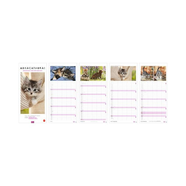 9783756405831 - Familienkalender 20591 Whiskas Katzen 1 Monat   1 Seite 5 Spalten 21x45cm 2025 9783756405831 Heye