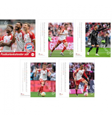 Bildkalender 21043, FC Bayern , 1 Monat / 1 Seite, 16x17cm, 2025