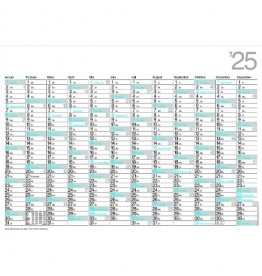 Plakatkalender M12, Sigma, 12 Monate / 1 Seite, 67x47cm, 2025